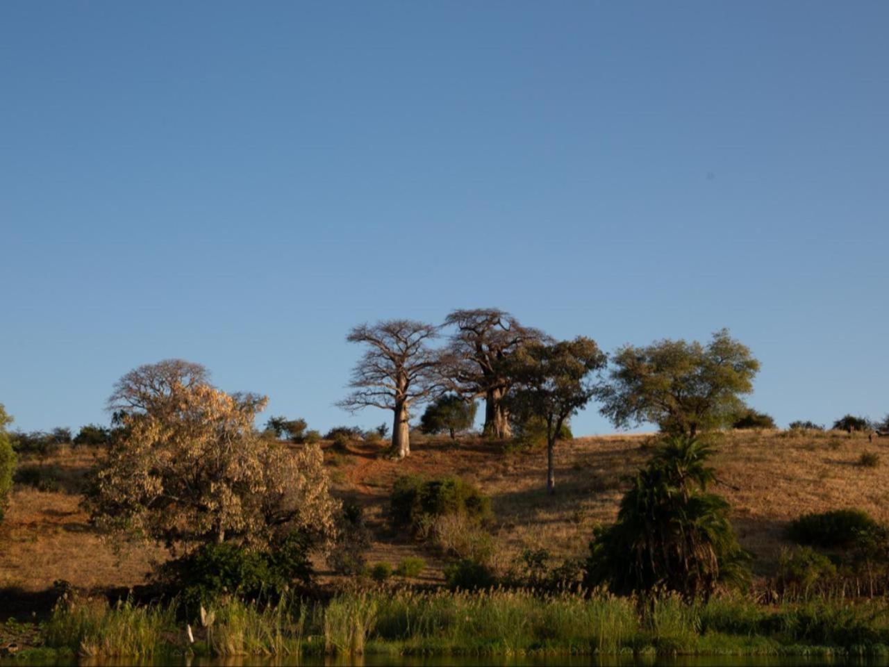 Kayova River Lodge Ndiyona Exterior photo